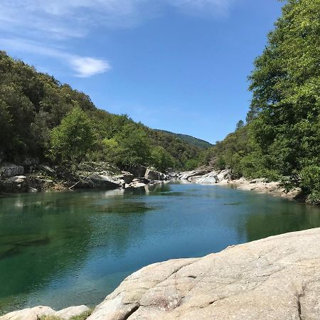 سان جان دو جارد Chambre D'Hote Lavande - Le Soleil Des Cevennes المظهر الخارجي الصورة