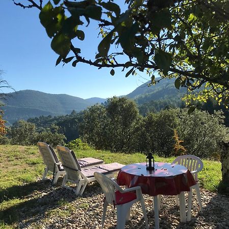 سان جان دو جارد Chambre D'Hote Lavande - Le Soleil Des Cevennes المظهر الخارجي الصورة