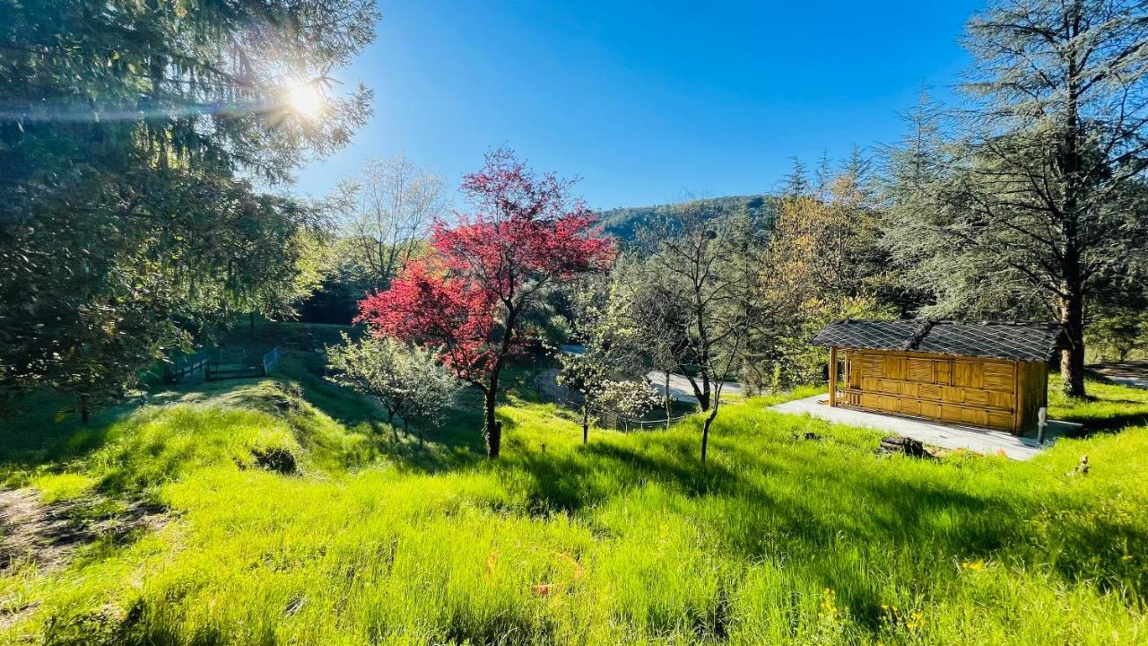 سان جان دو جارد Chambre D'Hote Lavande - Le Soleil Des Cevennes المظهر الخارجي الصورة