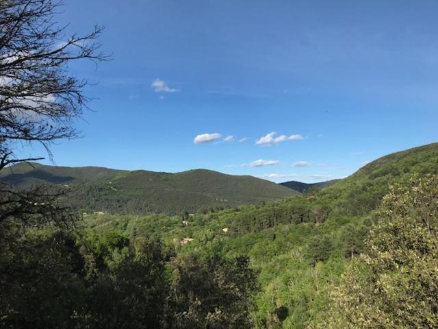 سان جان دو جارد Chambre D'Hote Lavande - Le Soleil Des Cevennes المظهر الخارجي الصورة