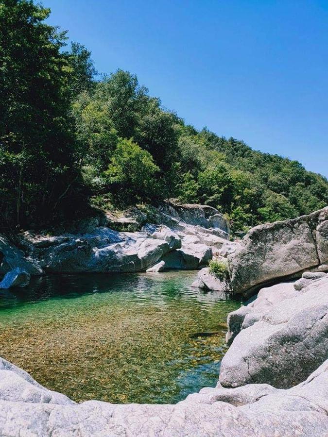 سان جان دو جارد Chambre D'Hote Lavande - Le Soleil Des Cevennes المظهر الخارجي الصورة